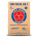 Ordinary Portland Cement (OPC) Jenis II